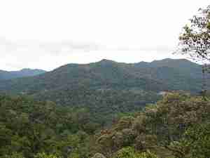 Parc national de Taman Negara