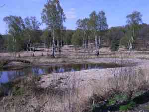 Parc National de Meinweg