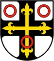 Blason de Neckarsulm