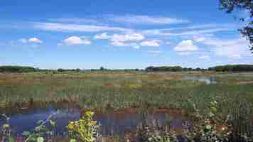 Parc national de Doñana