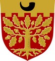 Blason de Salo