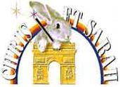 Logo Chris et Sarah les Magiciens