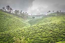 Photo de Valparai