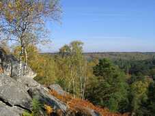 Forêt de Fontainebleau