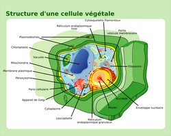 Biologie