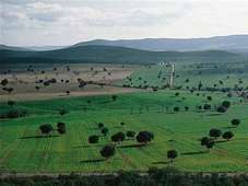 Parc national de de Cabañeros