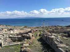 Photo de Tharros