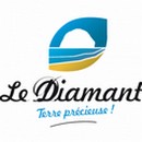 Logo du Diamant