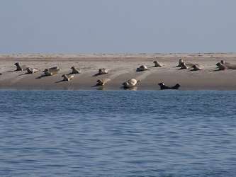 Mer des Wadden