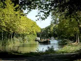 Photo du Canal du Midi