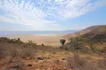 Ngorongoro