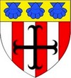 Blason de Salives