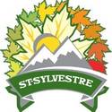 Logo de Saint-Sylvestre