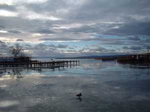 Photo du Lac de Neusiedl