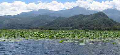 Photo du Lac de Yojoa