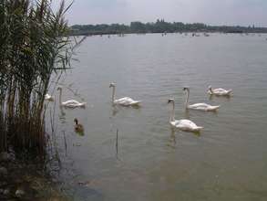 Photo du Lac de Velence