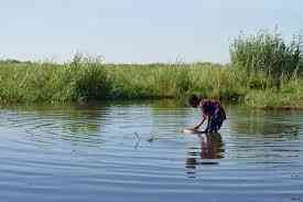 Lac Tchad