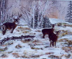 la vallée des cerfs